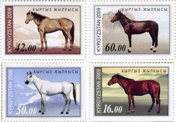 Кыргызская лошадь