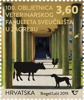 Veterinary Faculty