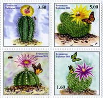 Cacti and butterflies