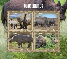 Черные носороги