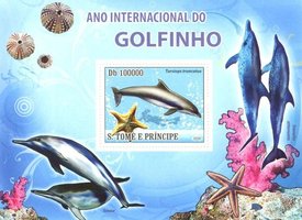 Международный год дельфина