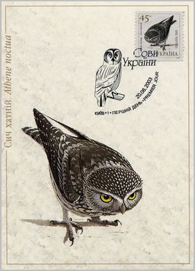 Owls of Ukraine