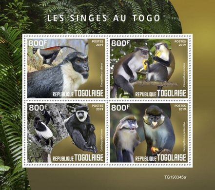 Monkeys in Togo