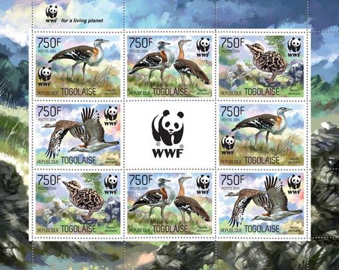 WWF Birds