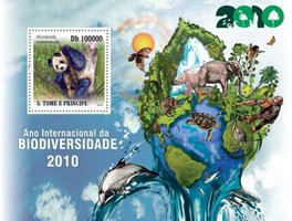 Міжнародний рік біорізноманіття