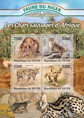 Wild cats of Africa