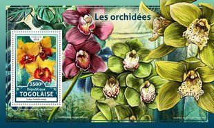 Orchids