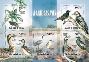 Birds. Bird watcher John Gould