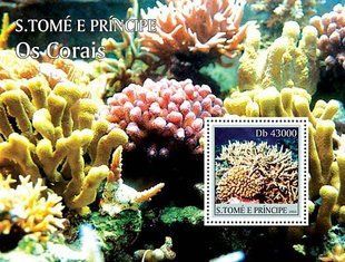 Corals
