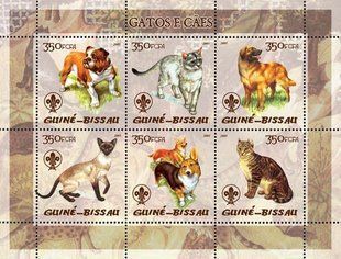 Cats and dogs