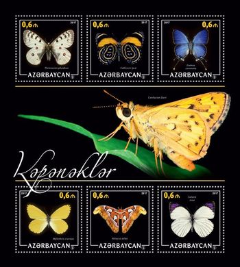 Own stamp. Butterflies