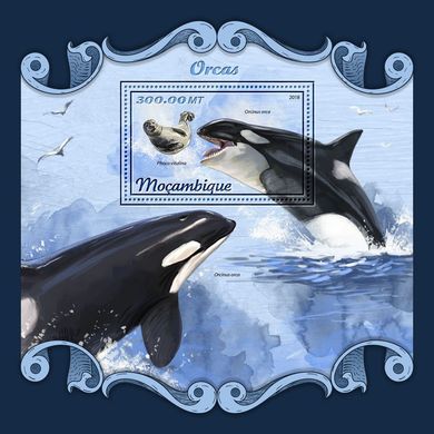 Killer whales