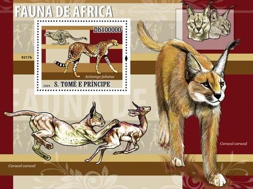 Fauna of Africa