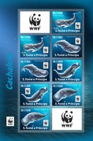 WWF Sperm whales