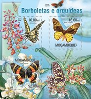 Butterflies. Orchids