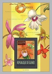 Orchids