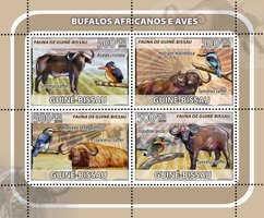 African buffaloes. Birds