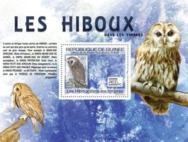 Owls on stamps