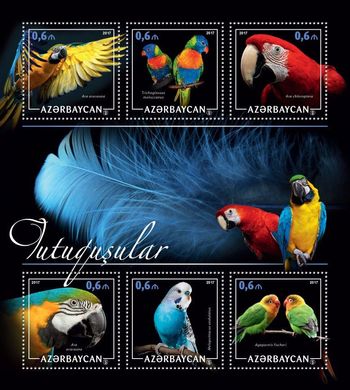 Own stamp. Parrots