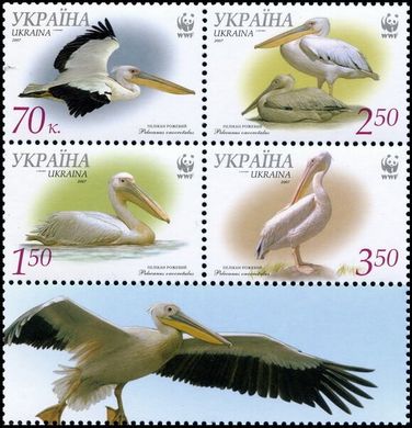 WWF Пелікани