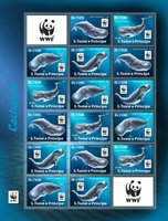 WWF Sperm whales