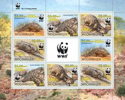WWF Lizards Overprint