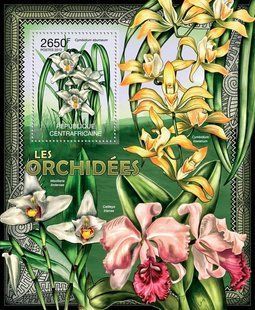 Orchids