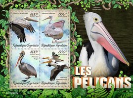 Пелікани