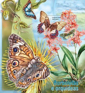 Butterflies. Orchids