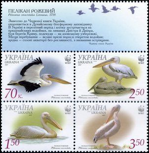 WWF Пелікани