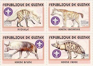 Hyenas