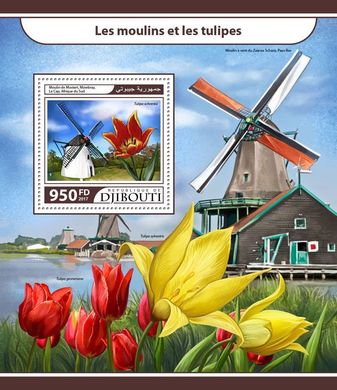 Windmills. Tulips