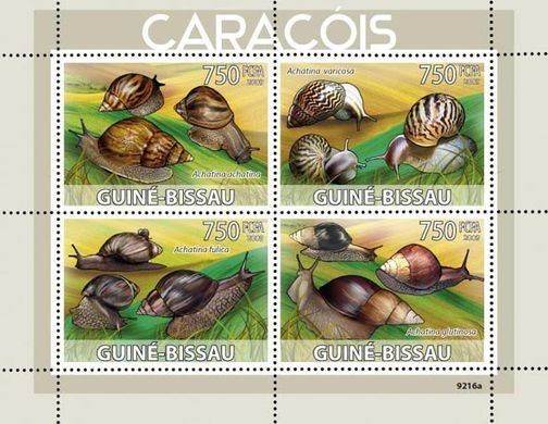 Snails of Africa