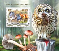 Owls. Fungi