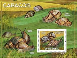 Snails of Africa