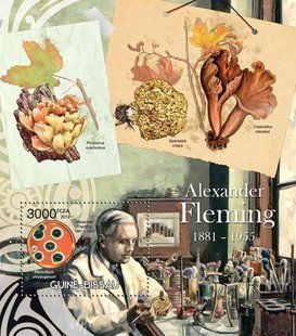 Bacteriologist Alexander Fleming