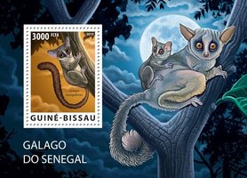 WWF Senegalese Galago