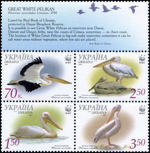 WWF Pelicans