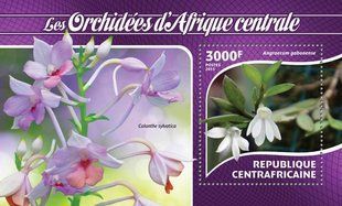 Orchids