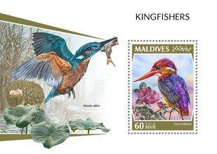 Kingfisher