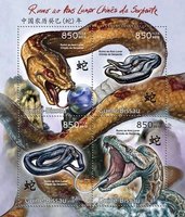 Year of the Snake