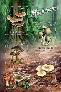 Fungi