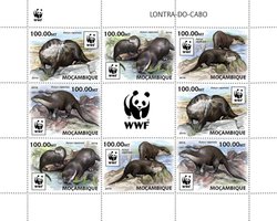 WWF Otter