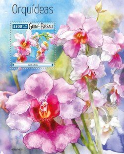 Orchids
