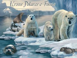 Polar bears and seals