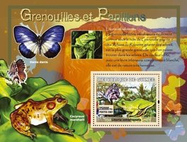 Frogs and butterflies
