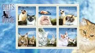 Cats