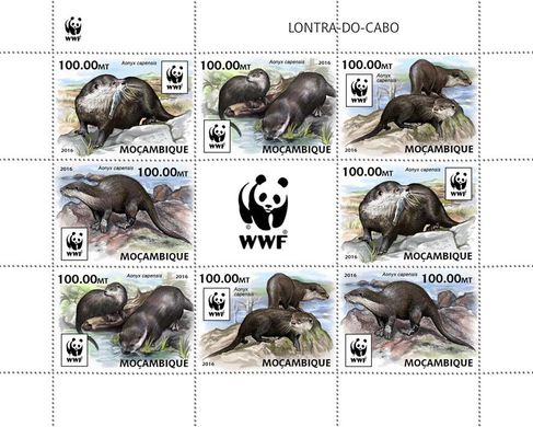 WWF Otter