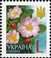V Definitive Issue L Rosehip
