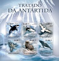 Antarctica. Fauna